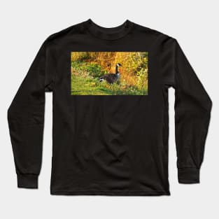 Canada Goose Walking Down A Hill Long Sleeve T-Shirt